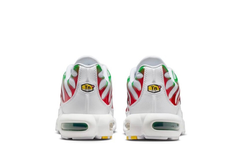 Nike Air Max Plus TN – Italy