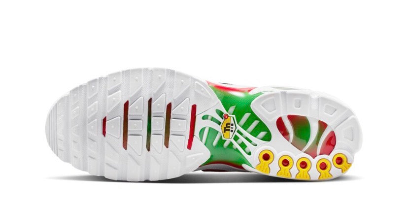 Nike Air Max Plus TN – Italy